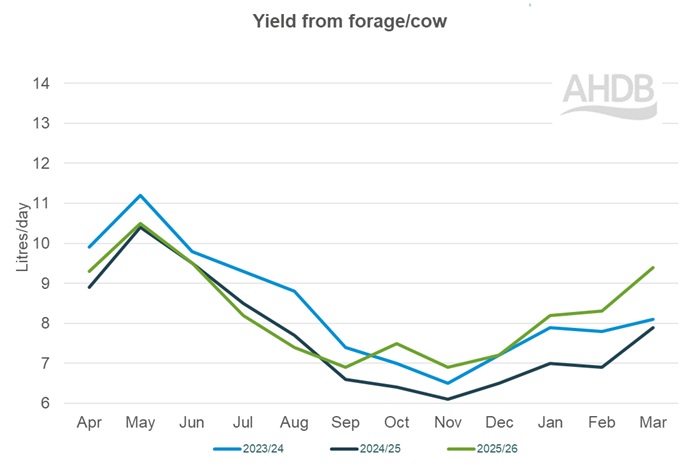A line graph up to March 2026 detailing Kingshay yield from forage per cow graph last 3 years.